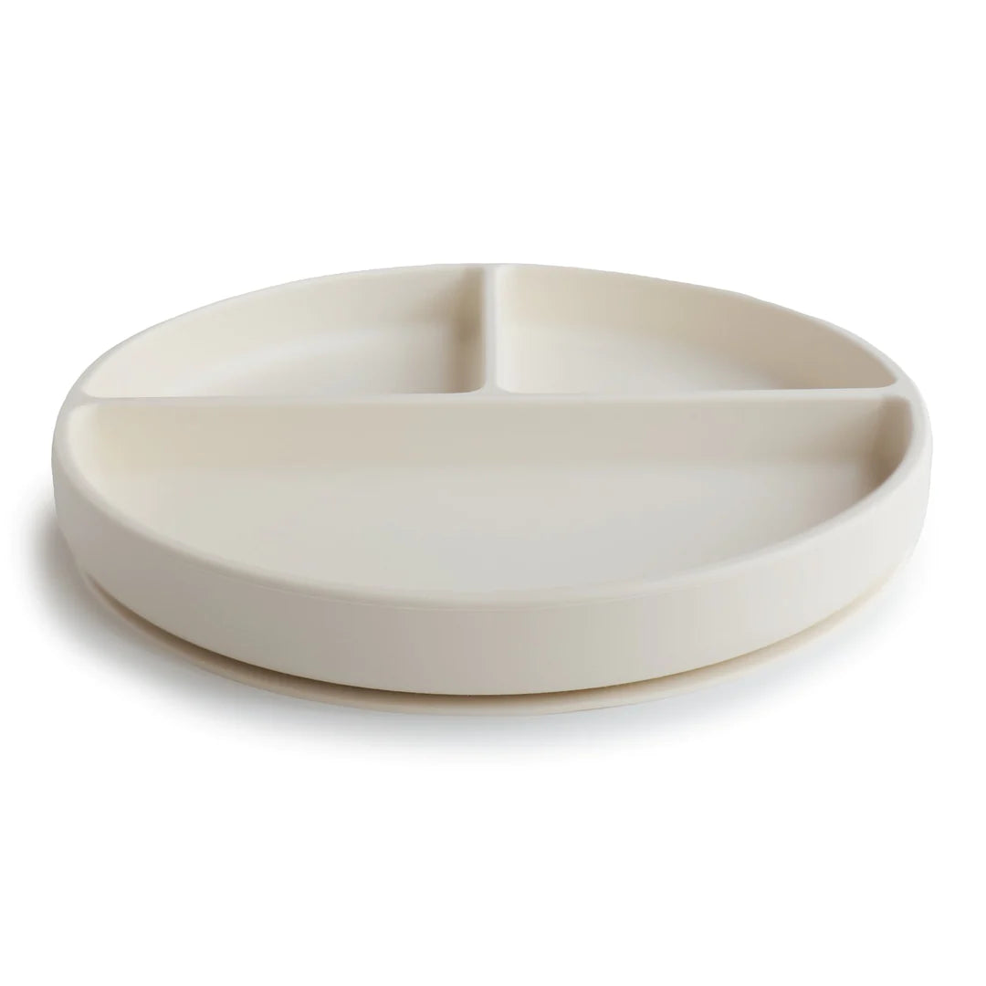 Silicone Plate