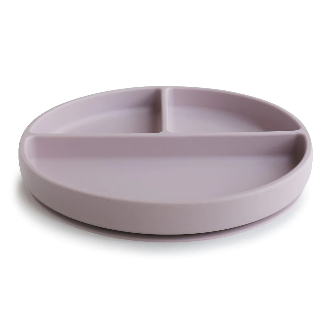 Silicone Plate