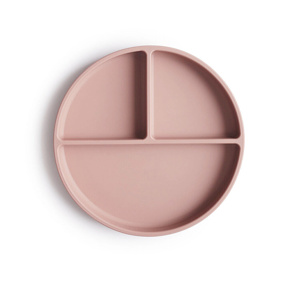 Silicone Plate