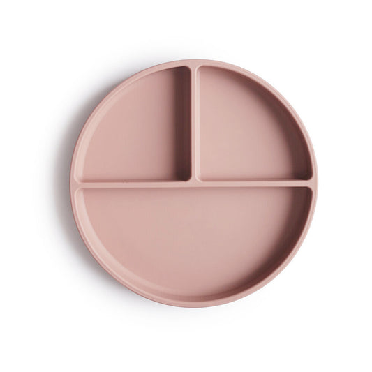 Silicone Plate