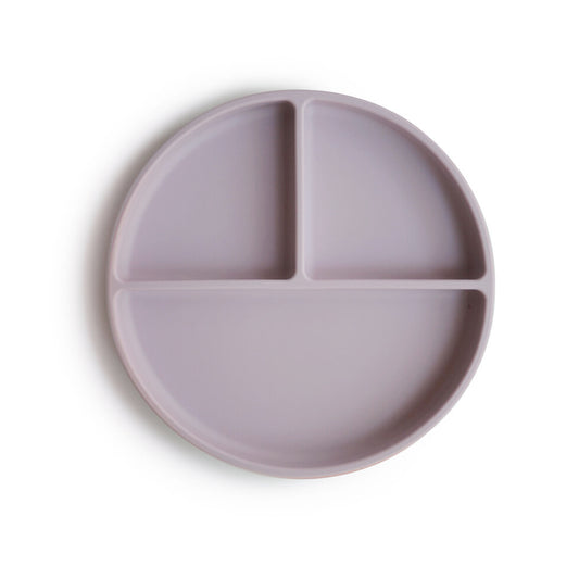 Silicone Plate