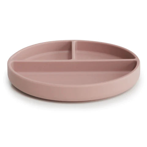 Silicone Plate
