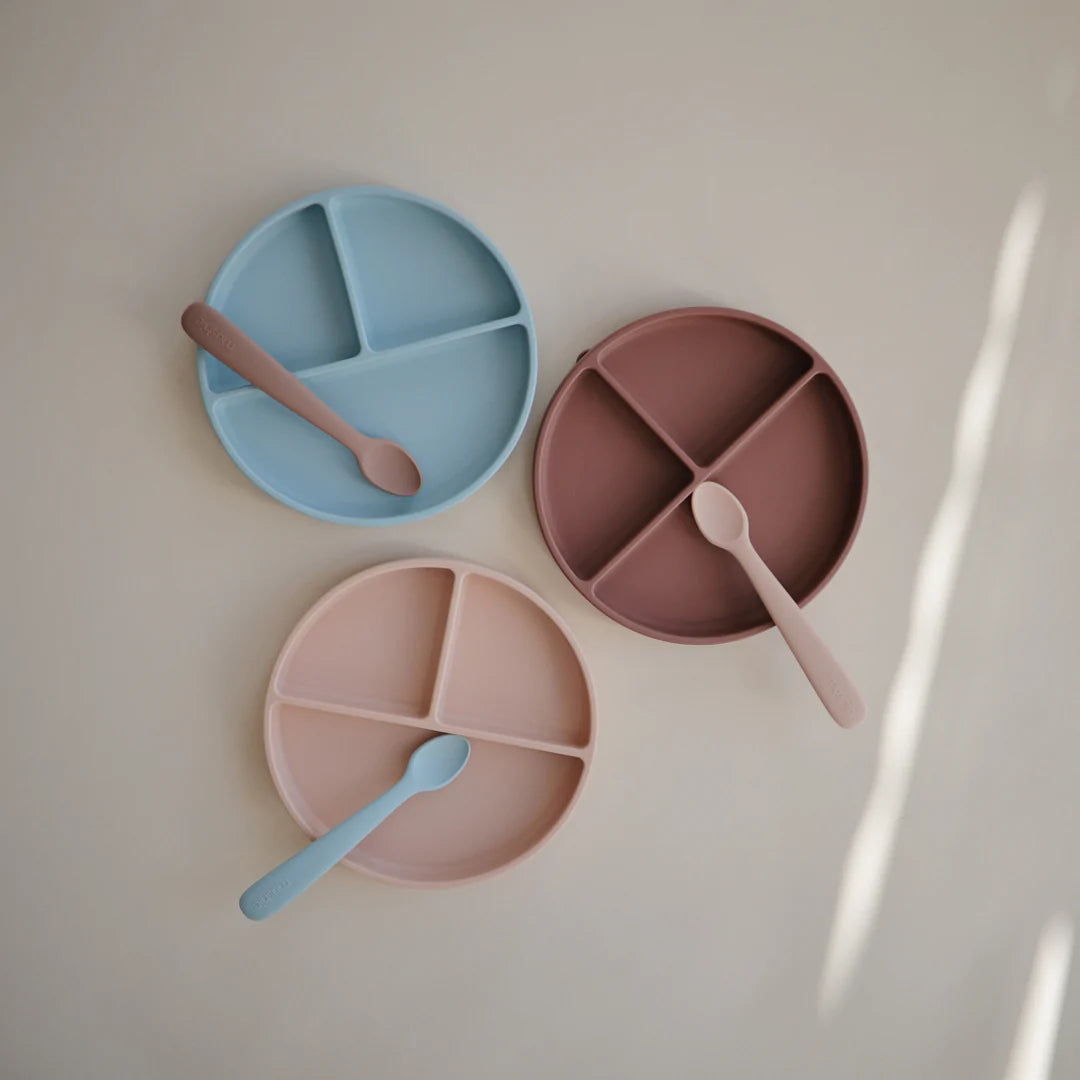 Silicone Plate